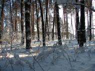 Авдіївка з panoramio.com