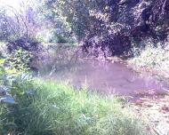 Бугаївка з panoramio.com