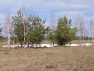 Ворожба з panoramio.com