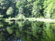 Прокурава з panoramio.com