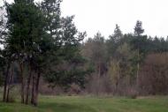 Половинкине з panoramio.com