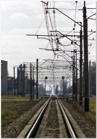 Пичугине з panoramio.com