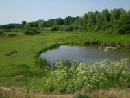 Самгородок з panoramio.com