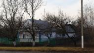 Шевченківське з panoramio.com