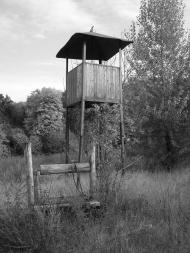 Дзензелівка з panoramio.com - Дзензелевка