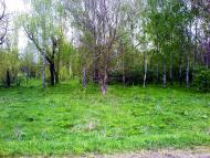 Агрономія з panoramio.com