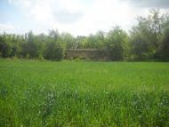 Саранчине з panoramio.com