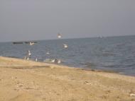 Ковське з panoramio.com