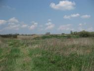 Саранчине з panoramio.com