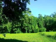 Тарноруда з panoramio.com