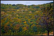 Гнатівка з panoramio.com