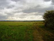 Карпилівка з panoramio.com