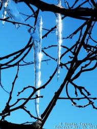 Покровка з panoramio.com