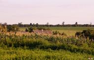 Раухівка з panoramio.com