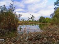 Саурівка з panoramio.com