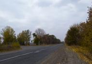 Грушки з panoramio.com