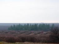 Покровка з panoramio.com