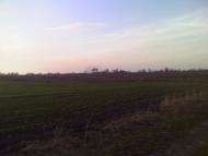 Темногайці з panoramio.com