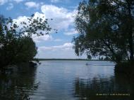 Вихвостів з panoramio.com