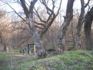 Михайлівка з panoramio.com