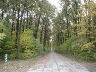 Дзензелівка з panoramio.com - Дзензелівка