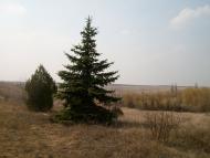 Водяне з panoramio.com