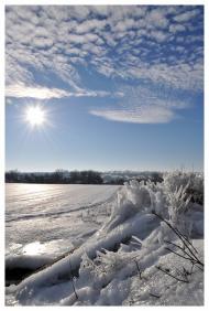 Бабанка - Последние фото