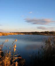 Шахтарське - Останні фото