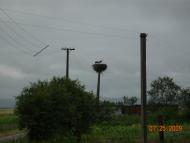 Конюхів з panoramio.com