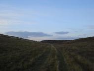 Дзензелівка з panoramio.com