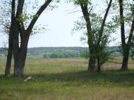 Здвижівка з panoramio.com