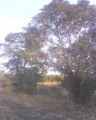 Вугляр - Останні фото