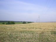 Рокитне з panoramio.com