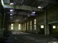 Шевченкове з panoramio.com
