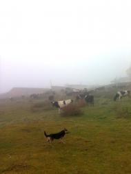 Спасів з panoramio.com