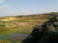 Олександрівка з panoramio.com