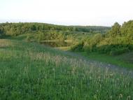 Кулібаба з panoramio.com