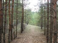 Неданчичі з panoramio.com