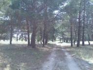 Черкаське з panoramio.com