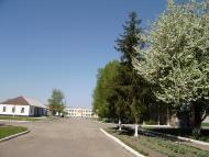 Синівка з panoramio.com