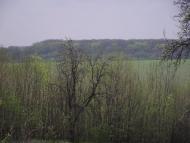 Дерегівка з panoramio.com