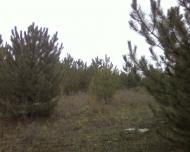 Verkhni Torgayi - Latest photos