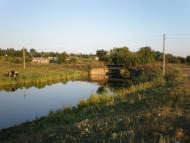 Капитанка - Последние фото