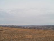 Карбівське з panoramio.com