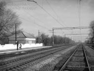 Пичугине з panoramio.com