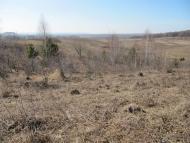 Зелений Гай з panoramio.com