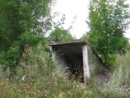 Дзензелівка з panoramio.com