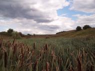 Леніна Друге з panoramio.com