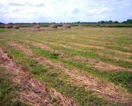 Чайковичі з panoramio.com