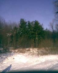 Лісна Поляна з panoramio.com